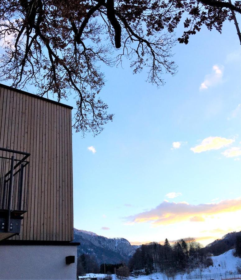 基姆高的阿绍Kampenzeit Loft Mit Traumhaftem Panoramablick公寓 外观 照片